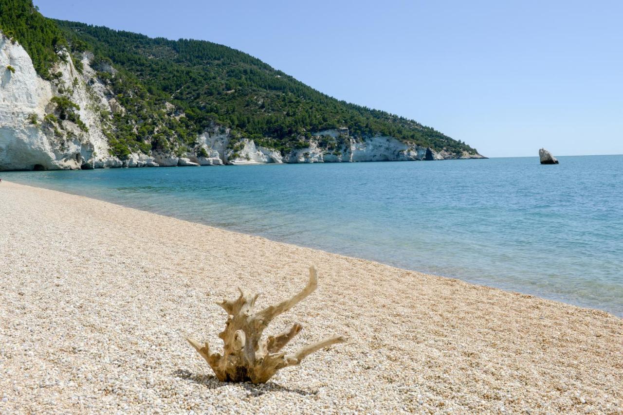 Villa Dimora Storica Fronte Mare Con Terrazzo Privato à Torre Canne Extérieur photo